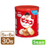 ビスコ保存缶（5年保存）