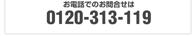 お電話でのお問合せは0120313119