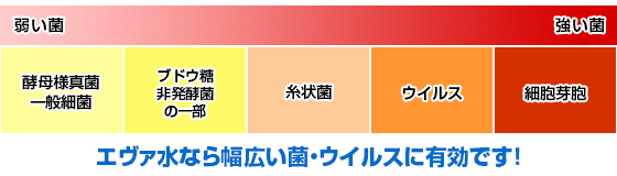 エヴァ水の除菌スペクトル