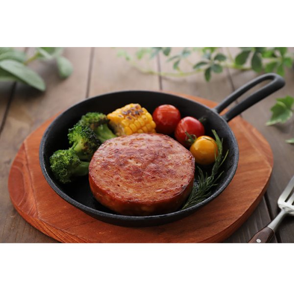 画像4: 日本ハム 陸上自衛隊戦闘糧食モデル お得!4種16食セット(各4食) (4)