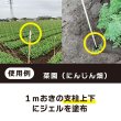 画像3: 【送料無料】鳥よけ ジェル 120ml 3本セット (3)