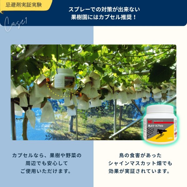 画像9: 鳥よけ カプセル 140g (9)