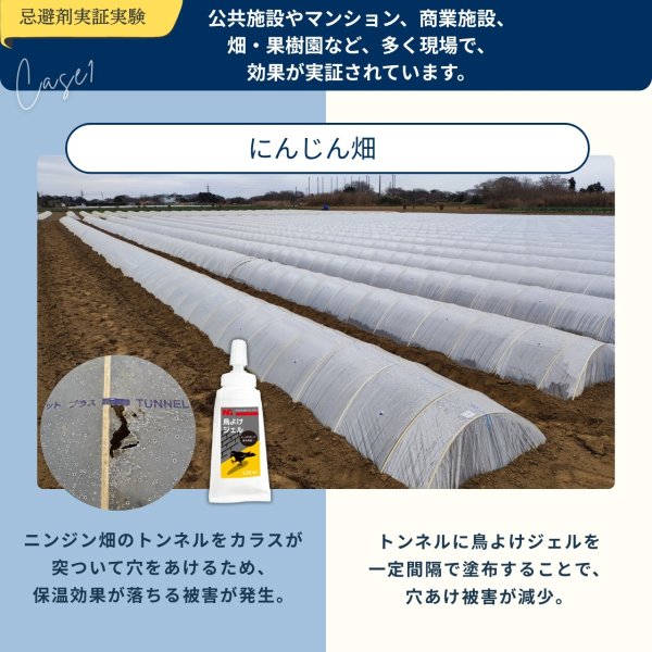 画像11: 【送料無料】鳥よけ ジェル 120ml 3本セット (11)
