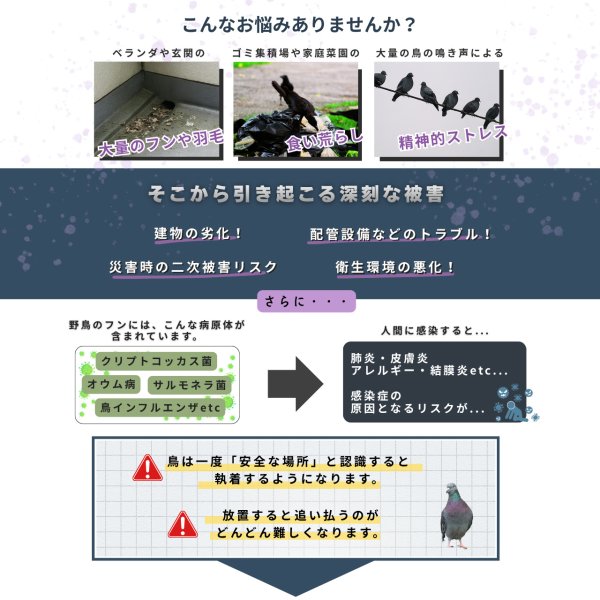 画像5: 鳥よけ スプレー 500ml 鳥類忌避剤 (5)