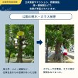 画像14: 鳥よけ スプレー 500ml 鳥類忌避剤 (14)