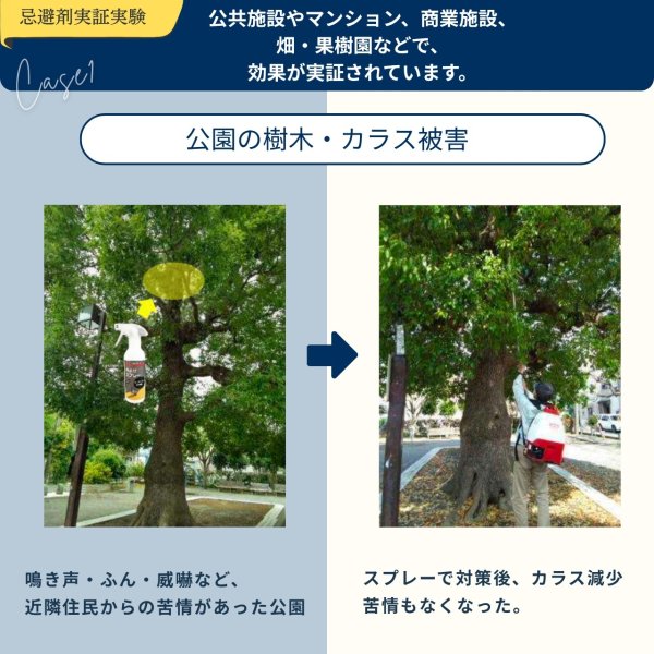 画像14: 鳥よけ スプレー 500ml 鳥類忌避剤 (14)